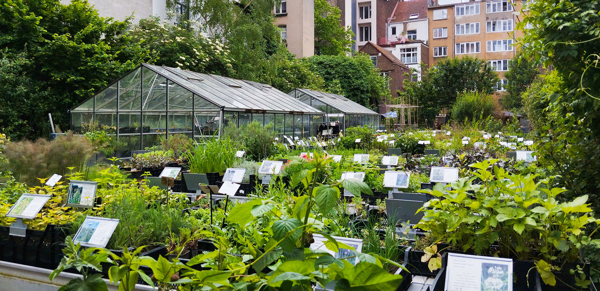 Commune de Saint-Gilles