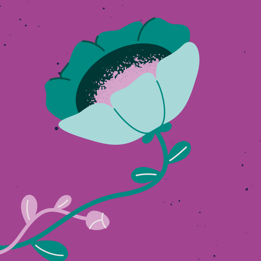 Institut pour l'égalité des femmes et des hommes